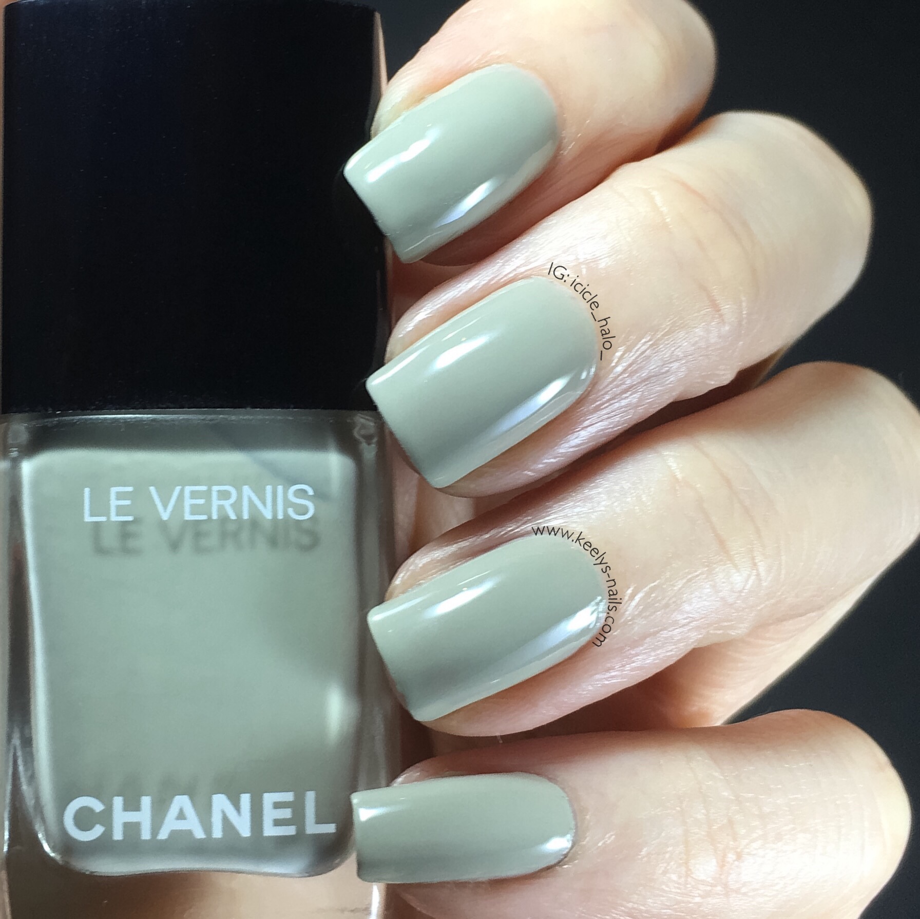 Chanel Summer 2016 Swatches Monochrome Swatch